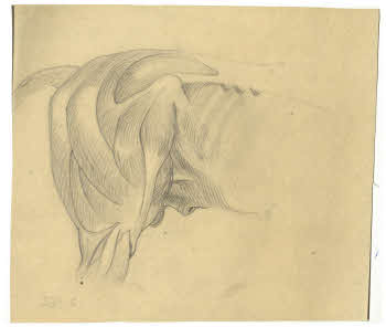 Visualizza l'immagine "FD D 172"